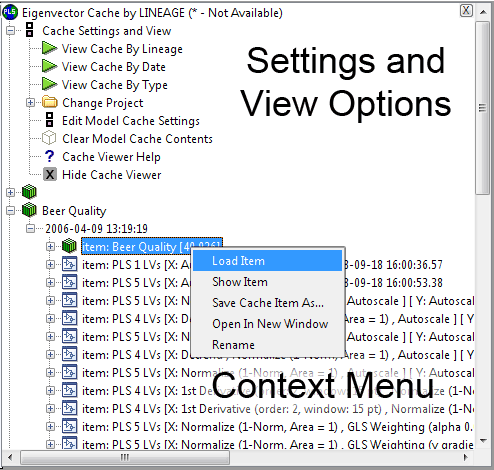 Model Cache Window