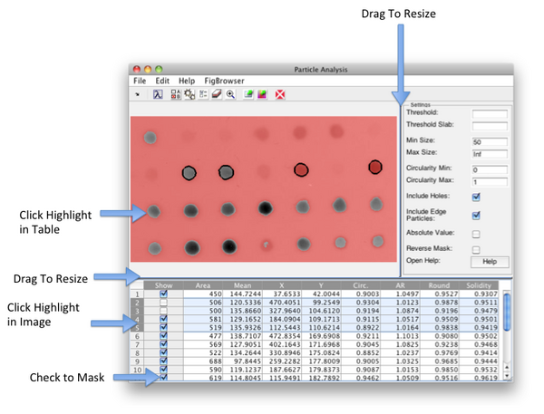 Particle Analysis Interface