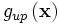 g_{up}\left( \mathbf{x} \right)