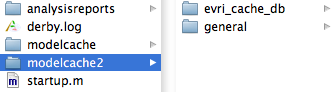 Model Cache Folder
