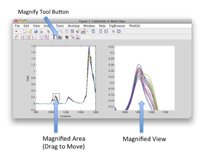 Magnify Tool