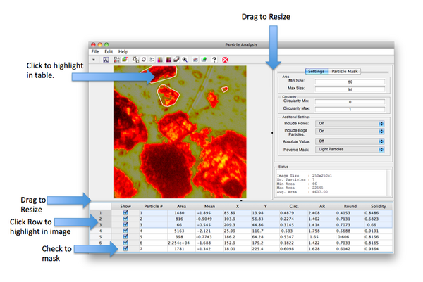 Particle Analysis Interface